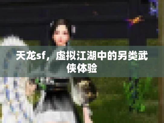 天龙sf，虚拟江湖中的另类武侠体验