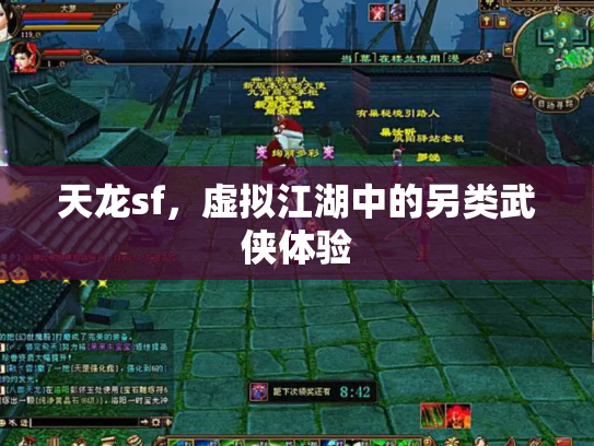 天龙sf，虚拟江湖中的另类武侠体验