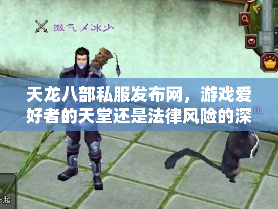 天龙八部私服发布网，游戏爱好者的天堂还是法律风险的深渊？