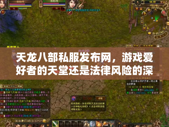 天龙八部私服发布网，游戏爱好者的天堂还是法律风险的深渊？