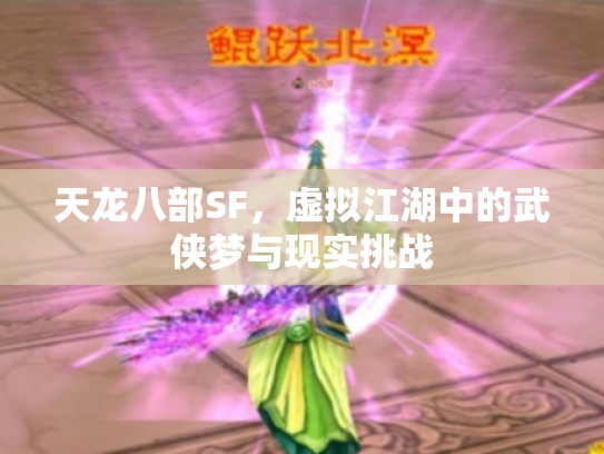 天龙八部SF，虚拟江湖中的武侠梦与现实挑战
