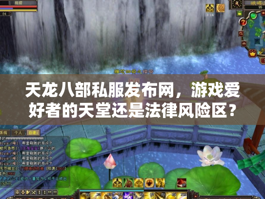 天龙八部私服发布网，游戏爱好者的天堂还是法律风险区？