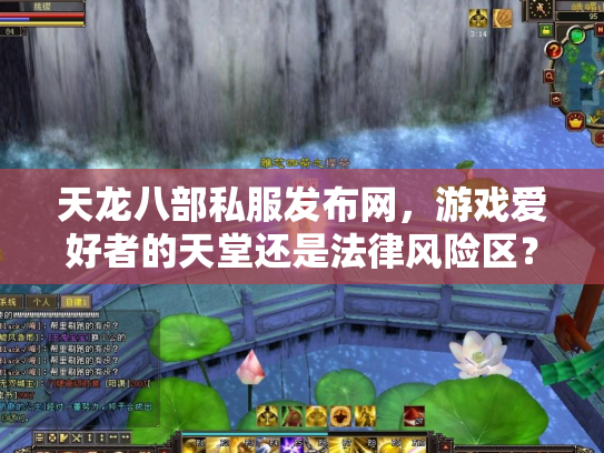 天龙八部私服发布网，游戏爱好者的天堂还是法律风险区？