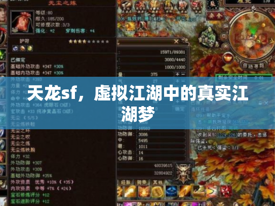 天龙sf，虚拟江湖中的真实江湖梦
