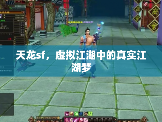 天龙sf，虚拟江湖中的真实江湖梦