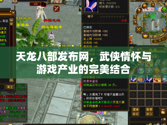 天龙八部发布网，武侠情怀与游戏产业的完美结合