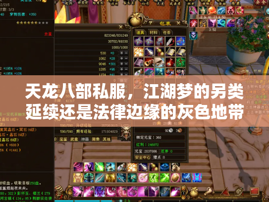 天龙八部私服，江湖梦的另类延续还是法律边缘的灰色地带？