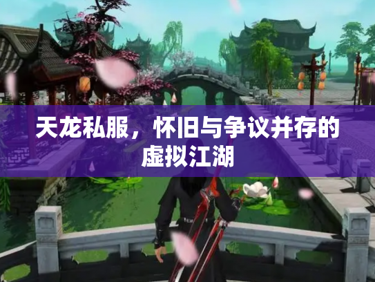 天龙私服，怀旧与争议并存的虚拟江湖