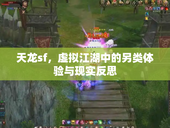 天龙sf，虚拟江湖中的另类体验与现实反思