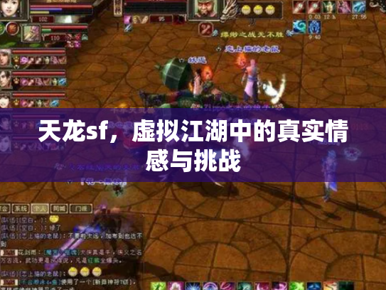 天龙sf，虚拟江湖中的真实情感与挑战