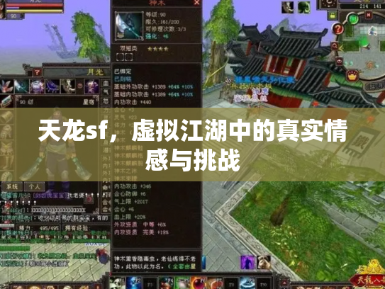 天龙sf，虚拟江湖中的真实情感与挑战