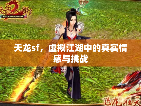 天龙sf，虚拟江湖中的真实情感与挑战