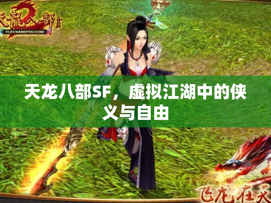 天龙八部SF，虚拟江湖中的侠义与自由