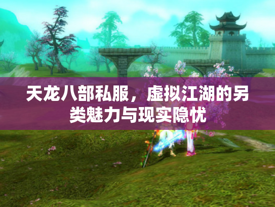 天龙八部私服，虚拟江湖的另类魅力与现实隐忧
