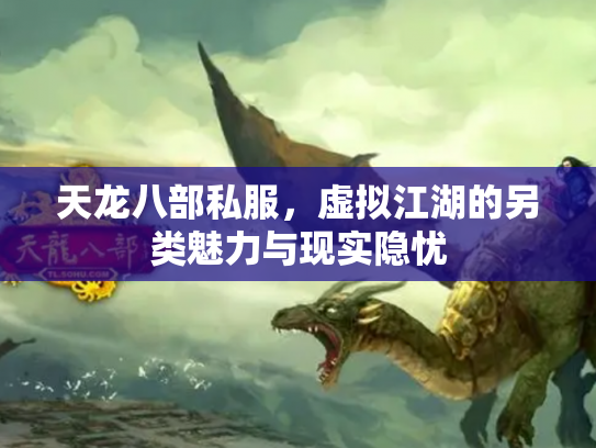 天龙八部私服，虚拟江湖的另类魅力与现实隐忧