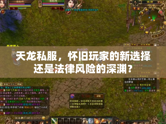天龙私服，怀旧玩家的新选择还是法律风险的深渊？