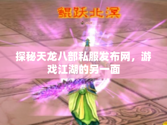 探秘天龙八部私服发布网，游戏江湖的另一面