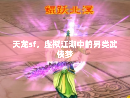 天龙sf，虚拟江湖中的另类武侠梦