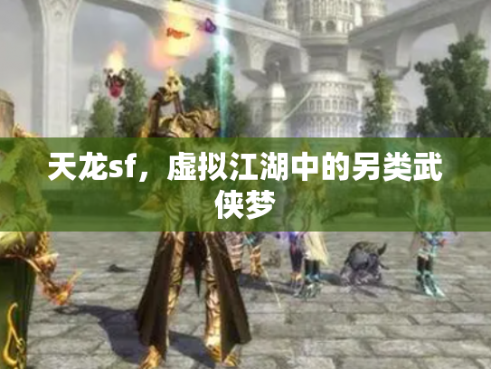 天龙sf，虚拟江湖中的另类武侠梦
