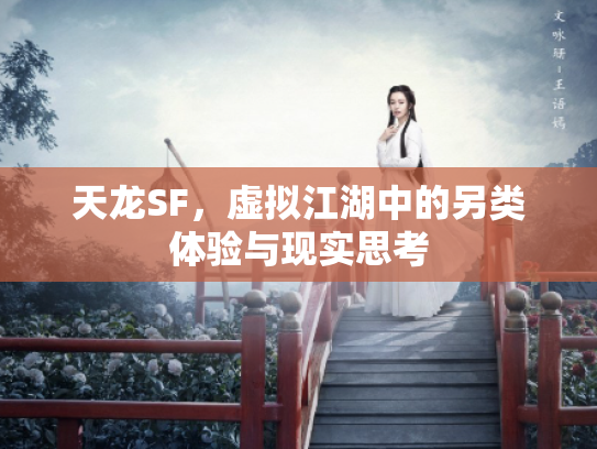 天龙SF，虚拟江湖中的另类体验与现实思考