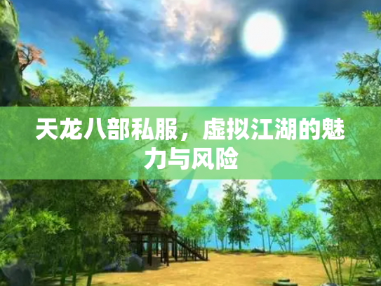 天龙八部私服，虚拟江湖的魅力与风险
