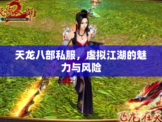 天龙八部私服，虚拟江湖的魅力与风险