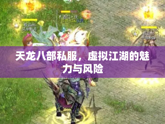天龙八部私服，虚拟江湖的魅力与风险
