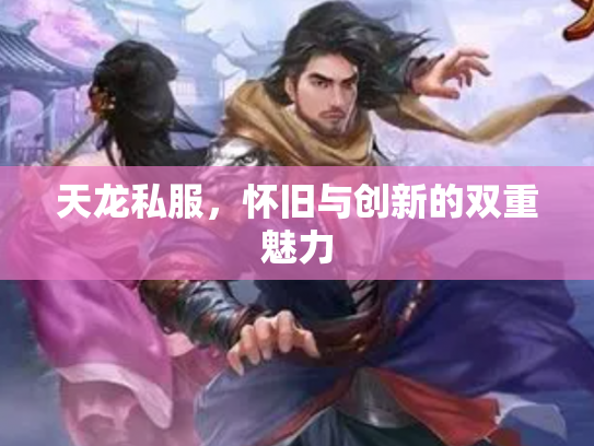 天龙私服，怀旧与创新的双重魅力