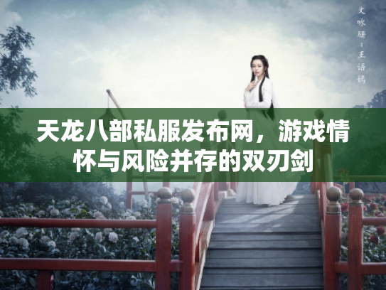 天龙八部私服发布网，游戏情怀与风险并存的双刃剑