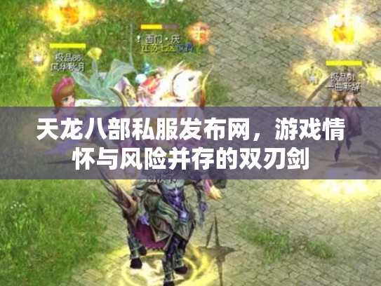 天龙八部私服发布网，游戏情怀与风险并存的双刃剑