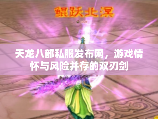 天龙八部私服发布网，游戏情怀与风险并存的双刃剑