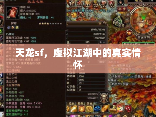 天龙sf，虚拟江湖中的真实情怀