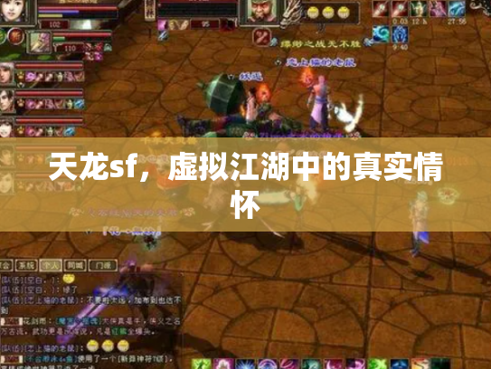 天龙sf，虚拟江湖中的真实情怀