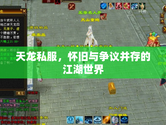 天龙私服，怀旧与争议并存的江湖世界