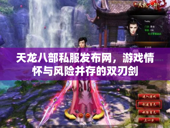天龙八部私服发布网，游戏情怀与风险并存的双刃剑