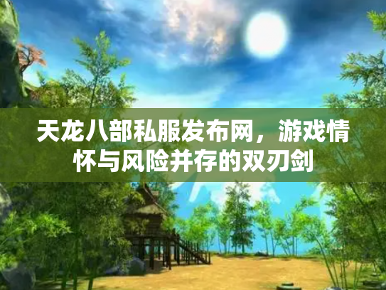 天龙八部私服发布网，游戏情怀与风险并存的双刃剑