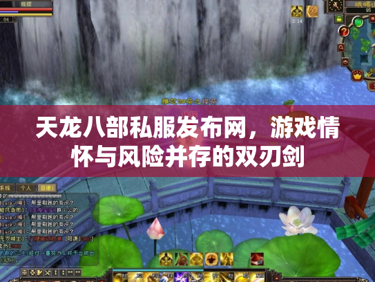 天龙八部私服发布网，游戏情怀与风险并存的双刃剑