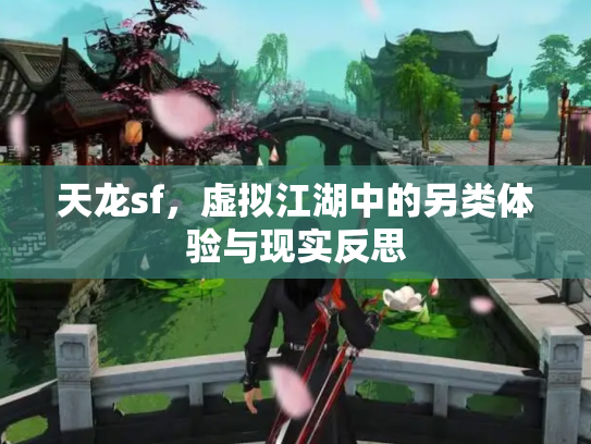 天龙sf，虚拟江湖中的另类体验与现实反思