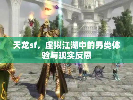 天龙sf，虚拟江湖中的另类体验与现实反思