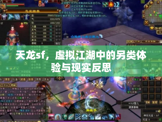天龙sf，虚拟江湖中的另类体验与现实反思