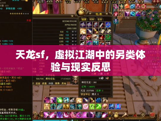 天龙sf，虚拟江湖中的另类体验与现实反思