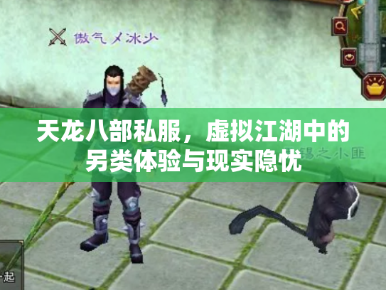 天龙八部私服，虚拟江湖中的另类体验与现实隐忧