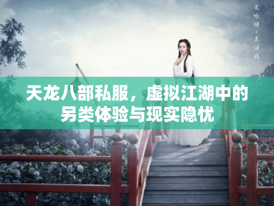天龙八部私服，虚拟江湖中的另类体验与现实隐忧