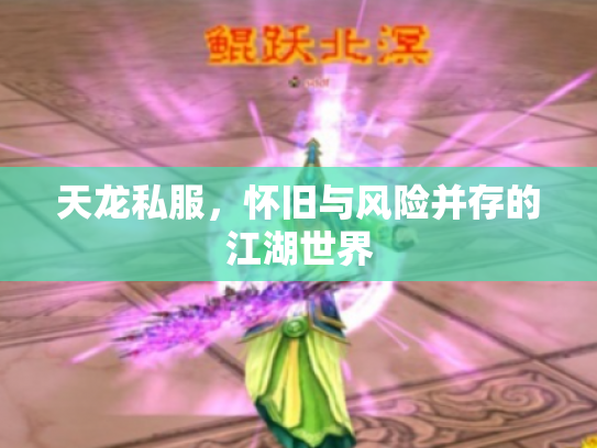 天龙私服，怀旧与风险并存的江湖世界