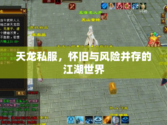 天龙私服，怀旧与风险并存的江湖世界