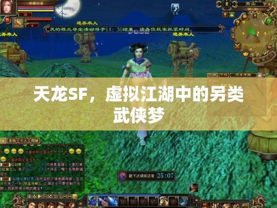 天龙SF，虚拟江湖中的另类武侠梦