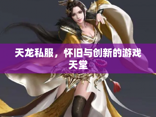 天龙私服，怀旧与创新的游戏天堂