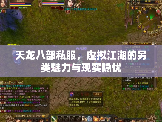 天龙八部私服，虚拟江湖的另类魅力与现实隐忧