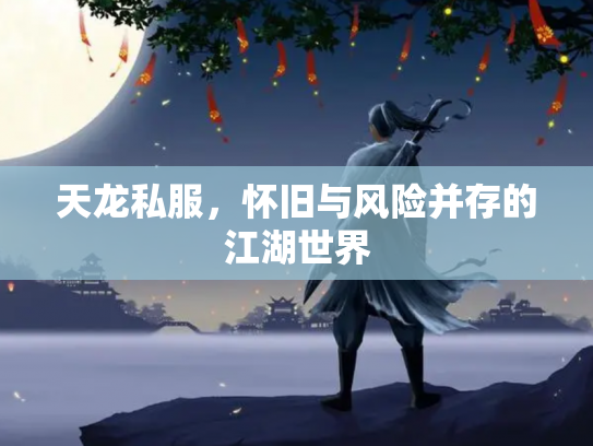 天龙私服，怀旧与风险并存的江湖世界