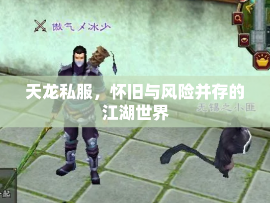 天龙私服，怀旧与风险并存的江湖世界